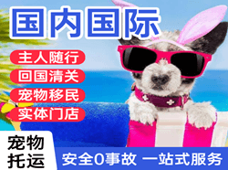 西昌机场物流国际宠物托运 【国